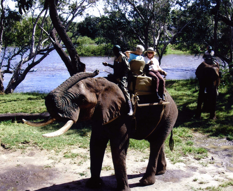 Riding an elephant in Zambia